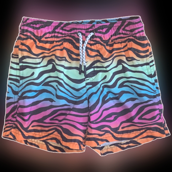 Size 6/7 Rainbow Zebra Swim Trunks - Picture 1 of 1